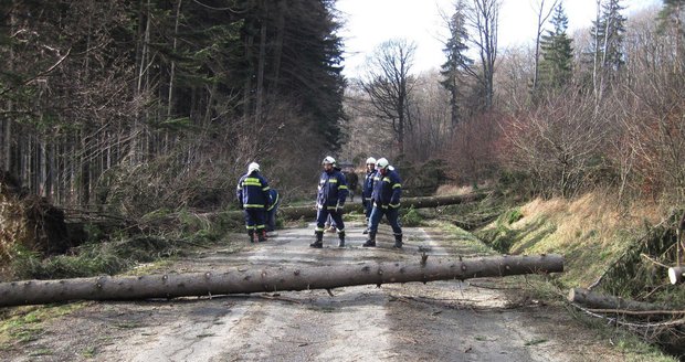 Foto ze zásahu hasičů ve Zlínském kraji, kde silný vítr lámal stromy
