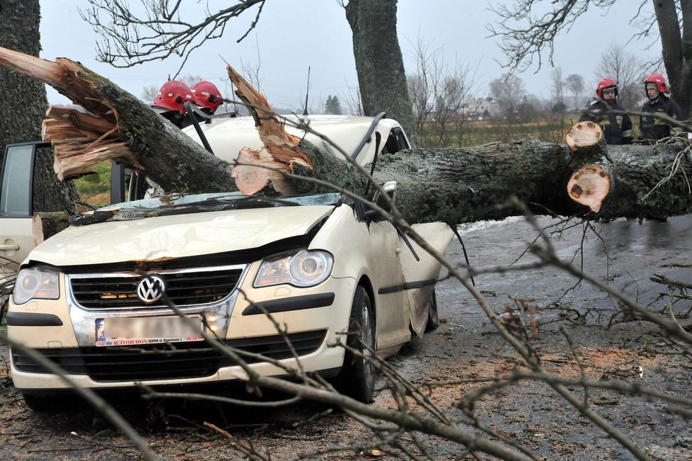 Jedno z aut, zasažených padajícím stromem, který vyvrátil orkán Xaver