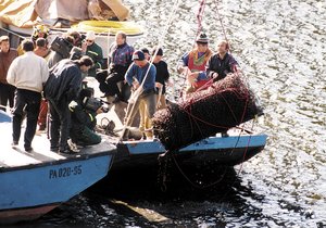 Přesně před 20 lety vytáhli potápěči z vody sud s obětí orlických vražd