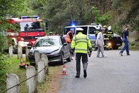 Vážná nehoda na Orlíku: Auto smetlo čtyři profesionální hasiče!