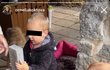 Koktovi se přestěhovali do nového domu. Koktovi se přestěhovali do nového domu.
