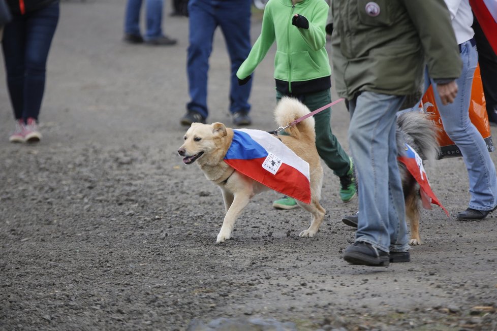 Do českých vlajek byli oblečeni i psi některých účastníků akce.