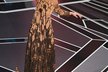 Frances McDormand vyhrála Oscara za nejlepší ženský výkon v hlavní roli ve filmu Tři billboardy kousek od Ebbingu