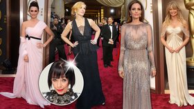 Oscarové gala: Dostály hvězdy kýžené oslnivosti? Nudná Julie, hvězdná Jolie, seniorka Goldie, hadříky Penelope