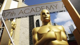 Filmová akademie v USA oznámí nominace na 91. předávání slavných Oscarů