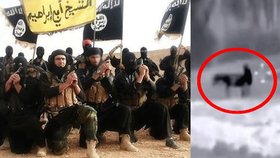 Na internetu koluje video bojovníka ISIS, který má údajně sex s oslicí.