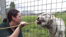 Ošetřovatelka Rosa King zemřela po útoku tygra v zoo.
