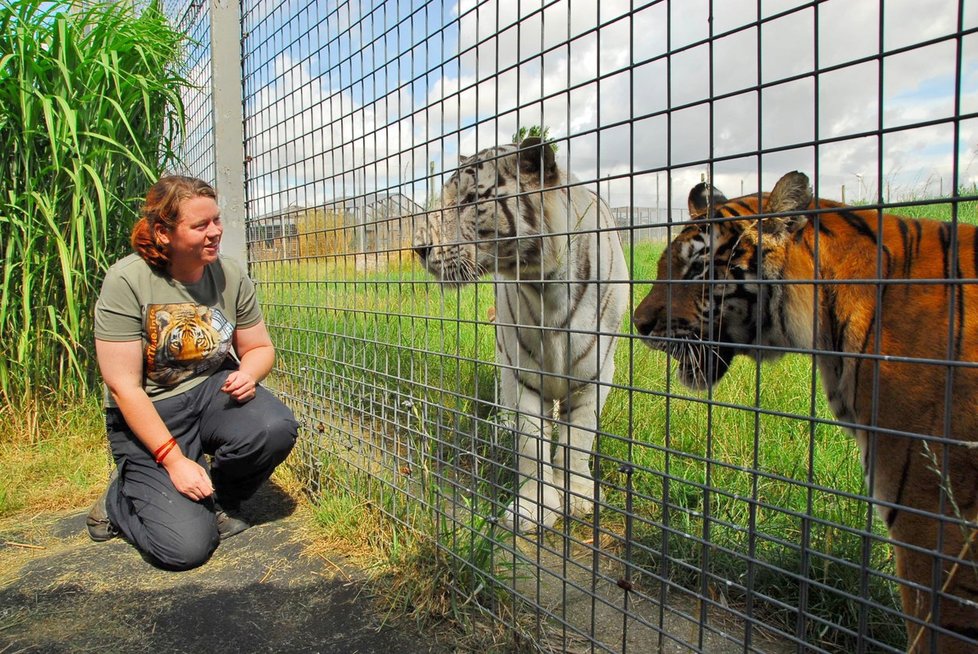 Ošetřovatelka Rosa King zemřela po útoku tygra v zoo.