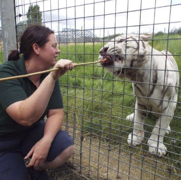 Ošetřovatelka Rosa King zemřela po útoku tygra v zoo.