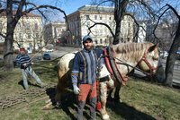 Valaši Jasánek a Nanuk v akci: V Brně připravili parky na jaro