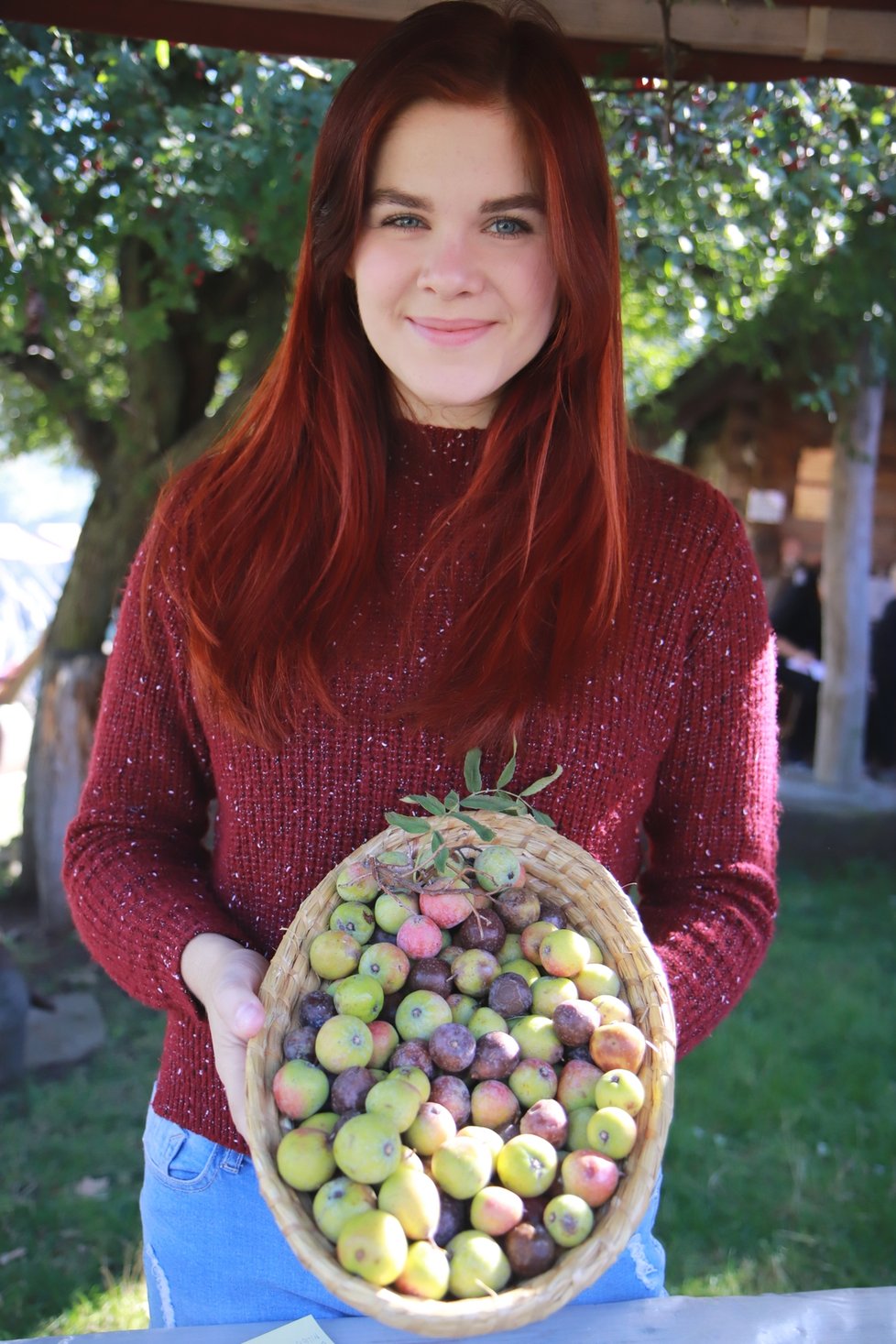 Marie Hrdoušková (20) ukazuje, jak vypadají oskoruše v době sklizně.