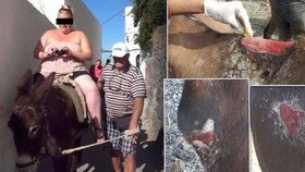 Odporný byznys v dovolenkovém ráji: Tlustí turisté mrzačí oslíky na Santorini!