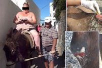 Odporný byznys v dovolenkovém ráji: Tlustí turisté mrzačí oslíky na Santorini!