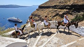 Oslíci jsou na Santorini turistickou atrakcí.