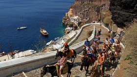 Oslíci jsou na Santorini turistickou atrakcí.