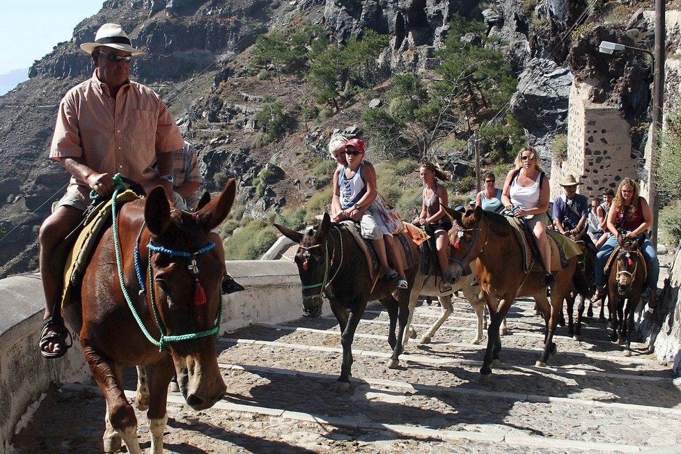 Oslíci jsou na Santorini turistickou atrakcí.