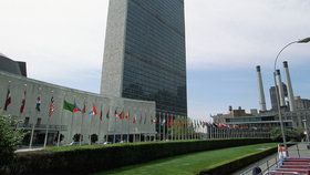 OSN propustila šest zaměstnanců kvůli držení dětské pornografie nebo drog.