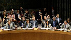 Rada bezpečnosti OSN odmítla 26. 11. 2018 ruskou verzi kerčského incidentu. Stálá zástupkyně Spojených států Nikki Haleyová tlumočila stanovisko USA, Británie, Francie, Polska, Nizozemska a Švédska, že návrh Ruska diskutovat o „porušování ruských hranic“ je pro západní členské státy Rady bezpečnosti nepřijatelný.