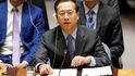 Čínský velvyslanec Ma Zhaoxu na zasedání Rady bezpečnosti OSN