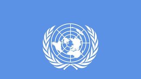 OSN zatím potvrdilo 37 svých mrtvých pracovníků, ale konečné číslo bude kolem sta obětí