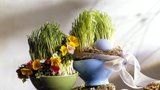Jaro je tady a přináší naději: Čarování a rituály pro jarní dny