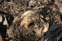 Záhada na Ostravsku: Po 23 letech našli kosterní ostatky zmizelé ženy