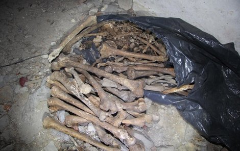 Kosti patří lidem pohřbeným před několika desítkami let.