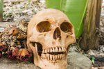V Lučenci našli lidské ostatky. Řádí na Slovensku kanibal?