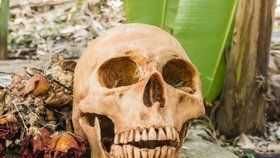 V Lučenci našli lidské ostatky. Řádí na Slovensku kanibal?