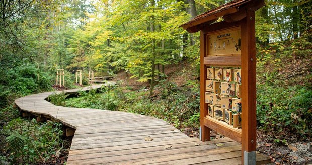 Údolí Výškovického potoka prošlo velkou proměnou, změnilo se v Cestu vody s Priessnitzovými lázněmi, povalovými chodníky a dalšími aktivitami.