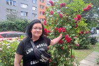 Proměna na sídlišti v Ostravě: Nikola (34) vytvořila květinovou oázu