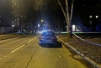 Seniorku (†73) srazilo auto, v nemocnici zemřela: Šla mimo přechod