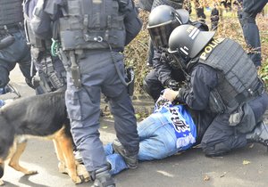 Fanoušci Ostravy často potřebují zklidnit policií.