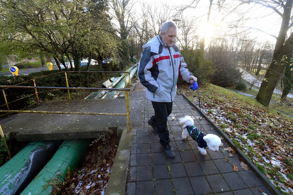 Ostravský městský obvod Poruba pokračuje v přípravách revitalizace Zámeckého parku. Může na něj získat dotaci z nadace Karla Komárka.