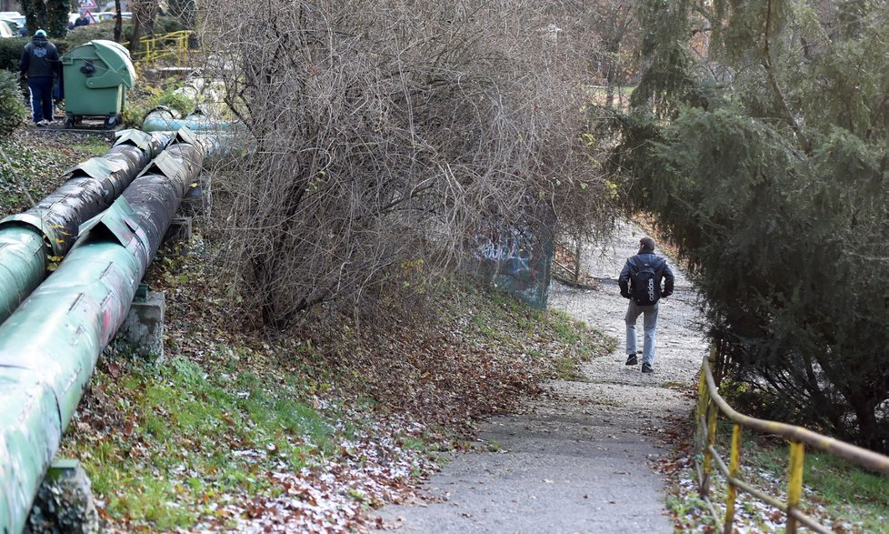 Ostravský městský obvod Poruba pokračuje v přípravách revitalizace Zámeckého parku. Může na něj získat dotaci z nadace Karla Komárka.