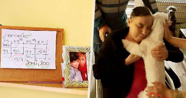 Hebká srst, něžné čumáčky a veselá kukadla: Paní Ludmila už nemohla sama, zvířecí kamarádi přijeli za ní