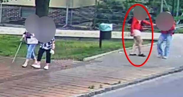 Žena s občasnou pomocí kompliců okrádala v moravskoslezských městech seniory. Do přízně se jim vtírala přímo na ulici.