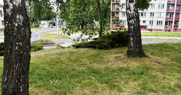 Místo tragédie v Ostravě-Mariánských Horách, kde se pokusil upálit muž (49). Místo tragédie v Ostravě-Mariánských Horách, kde se pokusil upálit muž (49).