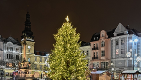 Vánoce v Ostravě: Strom od přehrady rozzáří 1,5 km světelného řetězu 