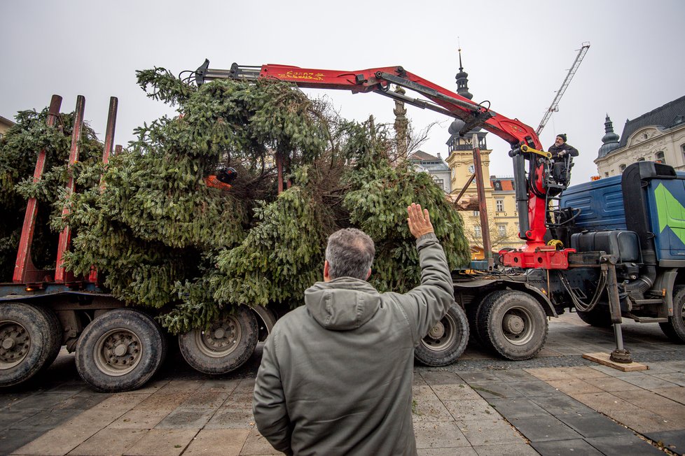 Insatalace vánočního stromu v Ostravě, rozsvítí se v sobotu v 17 hodin na Masarykově náměstí.