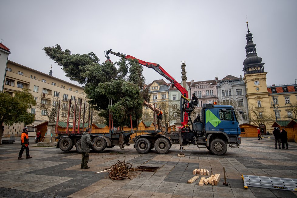 Insatalace vánočního stromu v Ostravě, rozsvítí se v sobotu v 17 hodin na Masarykově náměstí.