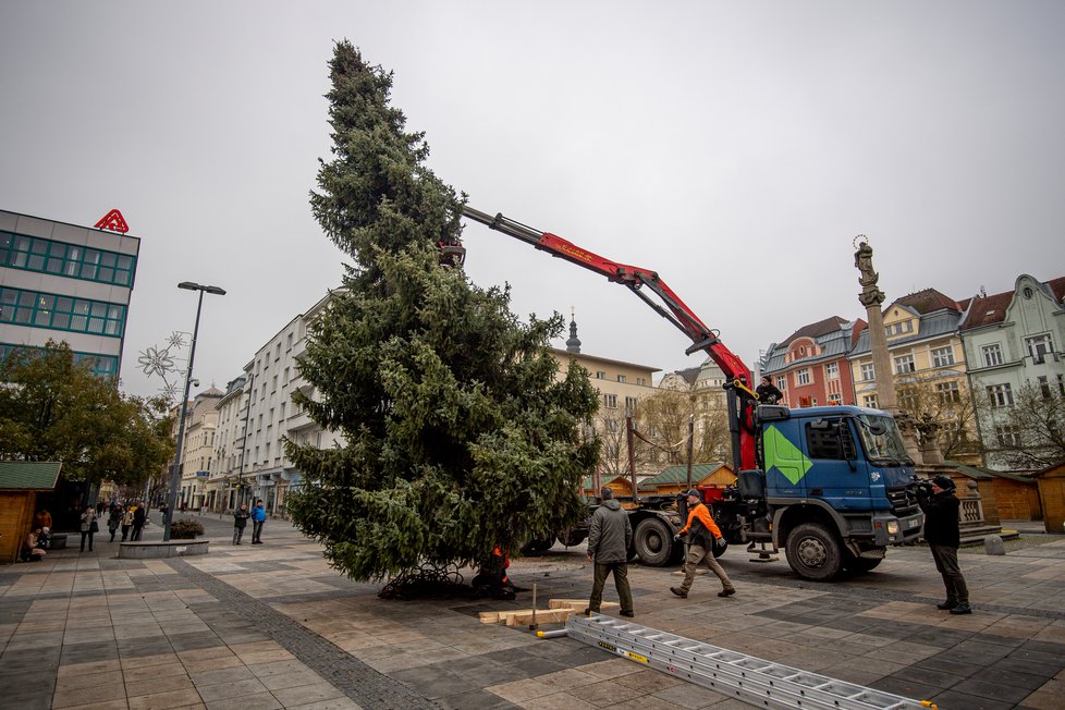 Insatalace vánočního stromu v Ostravě, rozsvítí se v sobotu v 17 hodin na Masarykově náměstí.