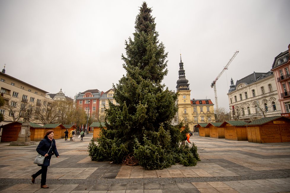 Insatalace vánočního stromu v Ostravě, rozsvítí se v sobotu v 17 hodin na Masarykově náměstí.