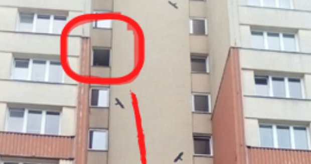 Muž vyhodil dítě z tohoto okna a pak prý za ním skočil. Letěli zhruba 20 metrů.