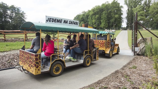 Výletní vláček v ostravské zoo