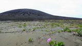 Vědce fascinuje lepkavé bahno na nově vzniklém ostrově. Bují na něm život  