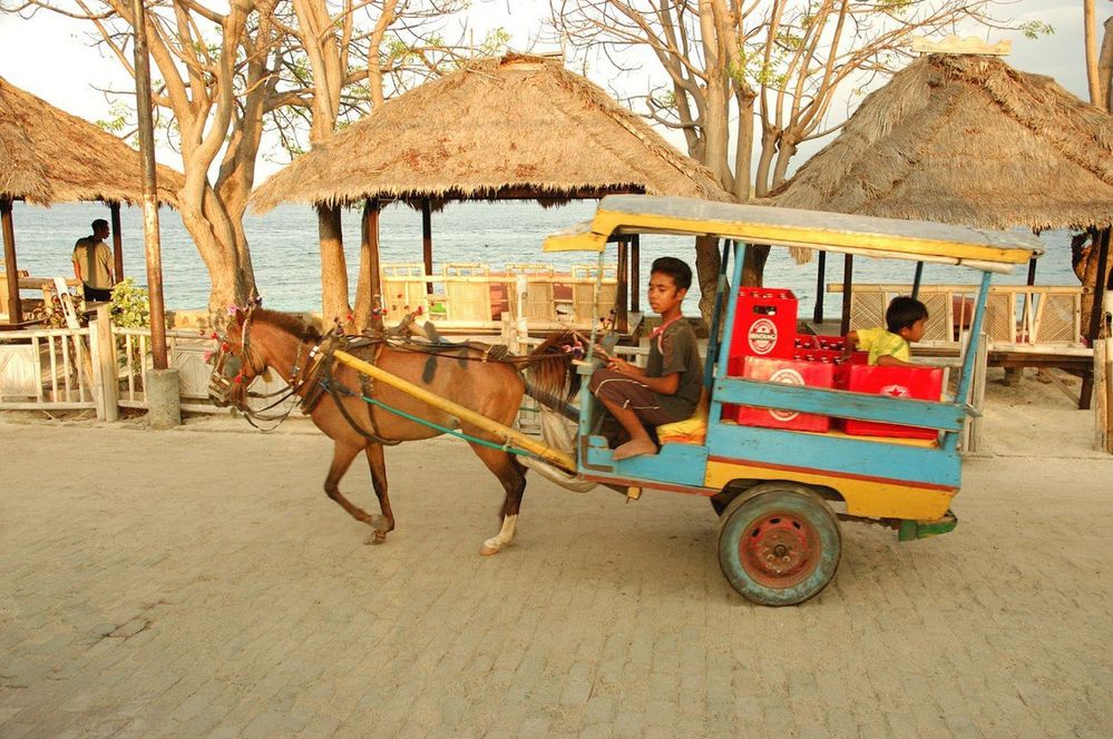 Nejblíž pevnině z indonéských ostrovů Gili leží Gili Air. V dopravě se na něm vrátíte o nějaké to století zpátky, motorové dopravní prostředky tu mají zákaz – jezdí se v bryčkách tažených koňmi a na kolech. Romantické je i ubytování, místo hotelů obývají turisté chatky a bungalovy na pobřeží.