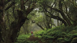 El Hierro: Nejmenší ostrov kanárského souostroví se snaží jít příkladem v ochraně přírody