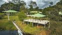Amazon Island Amazon Island