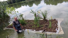 Z vyřazeného železárenského vodovodního potrubí postavili rybáři na rybníku ve Stříteži nedaleko Třince plovoucí ostrov.